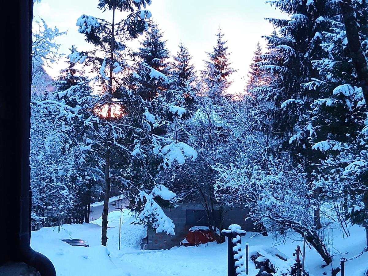 Ferienhaus Blommers Palfau Dış mekan fotoğraf