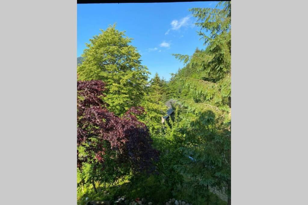 Ferienhaus Blommers Palfau Dış mekan fotoğraf