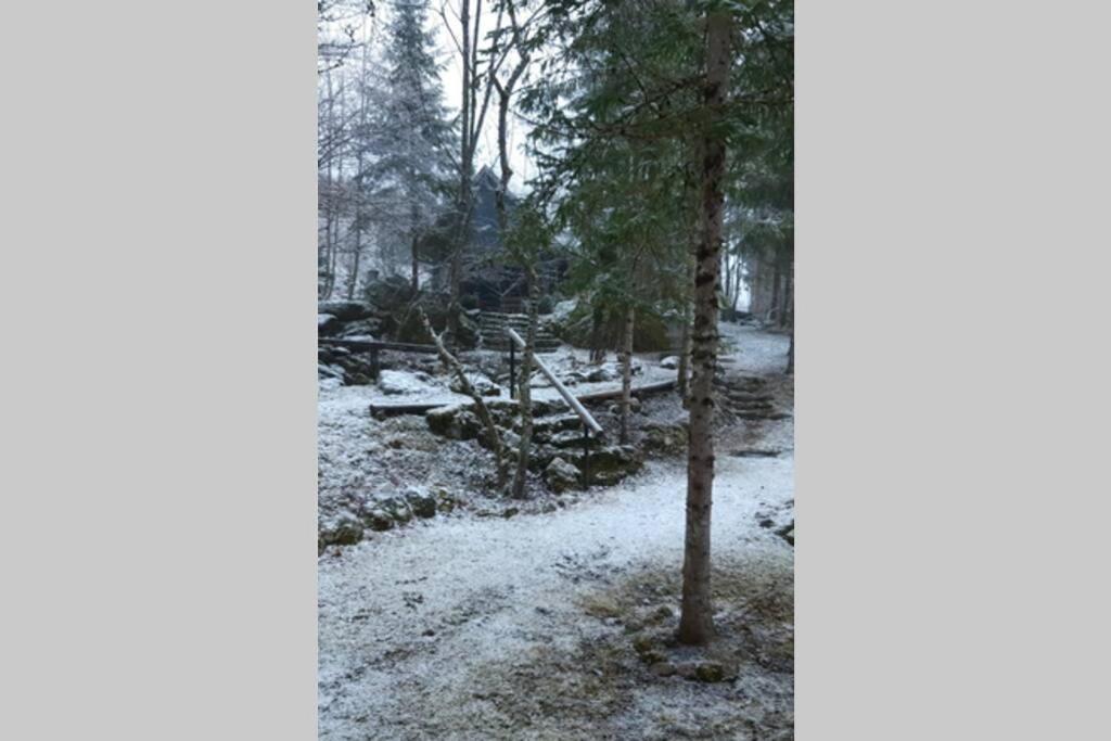 Ferienhaus Blommers Palfau Dış mekan fotoğraf