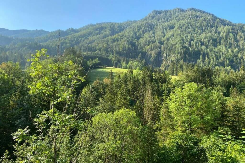 Ferienhaus Blommers Palfau Dış mekan fotoğraf
