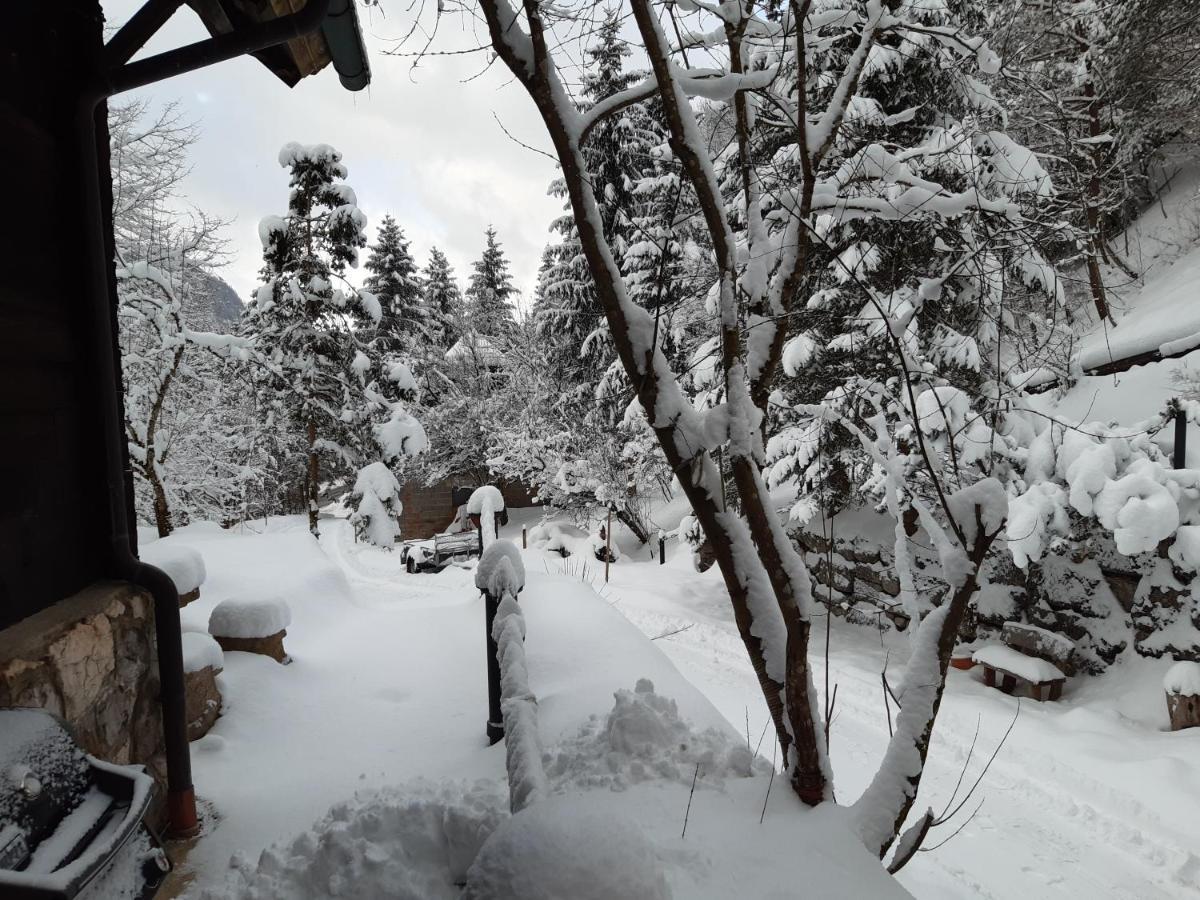 Ferienhaus Blommers Palfau Dış mekan fotoğraf